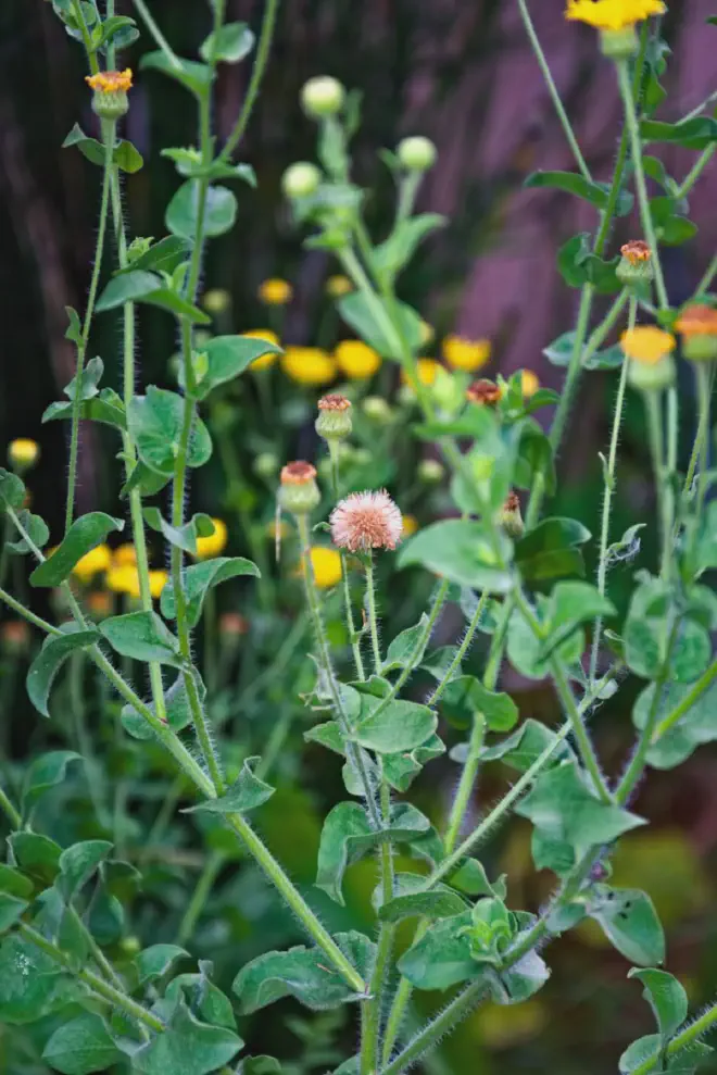 Un verdadero interrogante. Crédito de la imagen: Ricardo Daniel González.