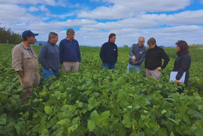 Sergio Feingold señala  documentación en una visita a campo