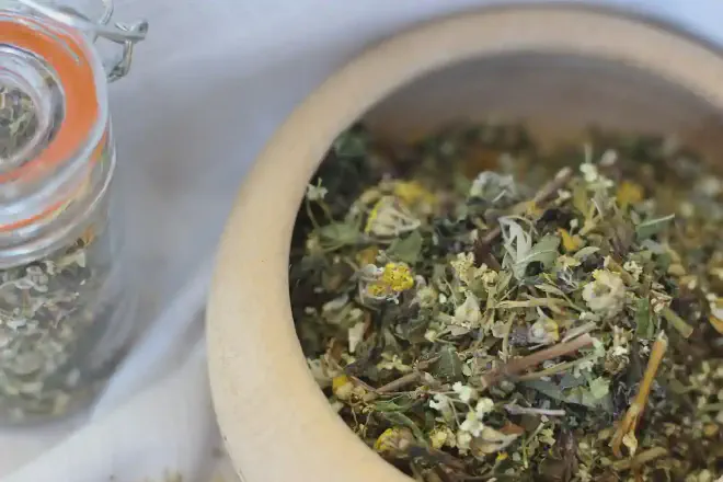 Ajenjo, imagen de Vilina Petrova