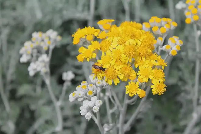 Imagen de Вилина Петрова