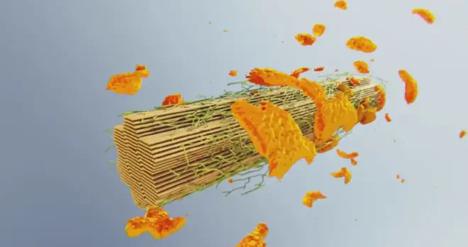 Creación artística sobre el aprovechamiento de la lignina