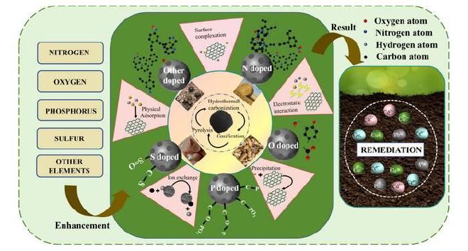 Síntesis, mecanismo y aplicación de biocarbón dopado con elementos para la contaminación por metales pesados ​​en suelos agrícolas. Crédito de la imagen: Jianhua Qu, Hongxuan Chu, Mengning Wang, Rui Yu, Siqi Wang, Tianqi Liu, Yue Tao, Siyue Han & Ying Zhang