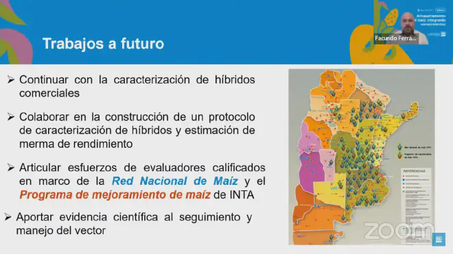 Estrategias futuras para reducir el impacto del achaparramiento del maíz