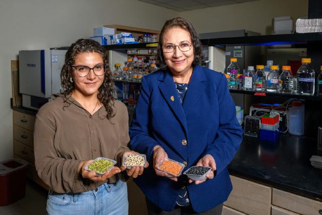 La profesora de Ciencia de los Alimentos, Elvira González de Mejía, a la derecha, y la estudiante de posgrado, Andrea Jimena Valdés-Alvarado, encontraron las condiciones óptimas de fermentación para varios tipos de legumbres que aumentaron significativamente sus propiedades antioxidantes y antidiabéticas, junto con el volumen de proteína soluble. Crédito de la imagen: Craig Pessman