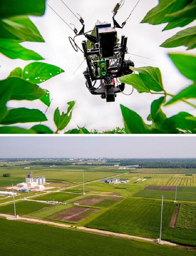 Una plataforma rodante montada sobre los campos experimentales, en la parte superior, contiene sensores, incluidos generadores de imágenes hiperespectrales, detección y medición de luz (LIDAR), fotografía térmica y sensores fotográficos RGB. Abajo, una vista aérea del Sistema de Fenotipado de Plantas Aéreas para Realizar una Mayor Eficiencia de la Fotosíntesis, donde la plataforma rodante se sostiene entre cuatro postes de 150 pies de altura en la Universidad de Illinois Urbana-Champaign. Foto superior de Fred Zwicky, foto inferior cortesía del proyecto RIPE/Darrell Hoemann