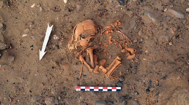 Entierro de perro de aproximadamente entre 1100-500 años de antigüedad recuperado en el sitio arqueológico Huaca Amarilla (Perú), depositado en posición de descanso. Crédito: Nicolas Goepfert