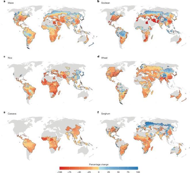 Cambio proyectado en el rendimiento de los cultivos -maíz, soja, arroz, trigo, mandioca, sorgo- hacia finales de siglo como resultado del cambio climático en un escenario en que las emisiones siguen siendo altas, teniendo en cuenta la adaptación al clima y el aumento de los ingresos. Adaptado de Hultgren et al. (Nature, 2025)