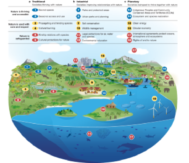 Las relaciones humanas saludables con la naturaleza son diversas, abundantes y continúan evolucionando. Crédito de la imagen: Ellis, E.C., Malhi, Y., Ritchie, H. et al.