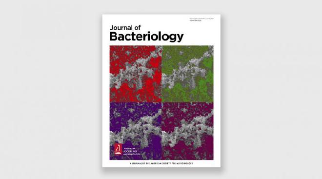 La investigación fue escogida como tapa de la revista Journal of Bacteriology