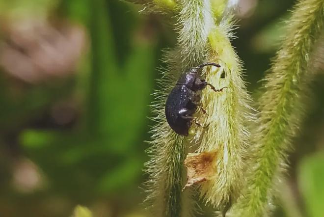 Crédito de la imagen: Guillermina Socías
