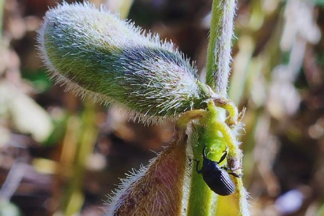 Crédito de la imagen: Guillermina Socías