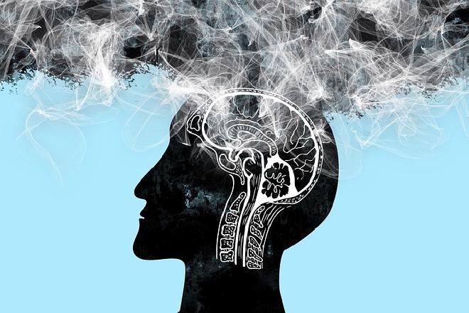 Imagen de Gerd Altmann en Pixabay