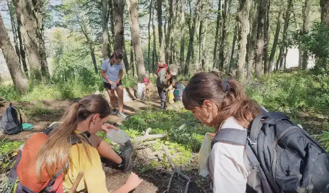 Recolección de semillas de lenga en el Cerro Otto (Bariloche) realizada en marzo de 2025 para colaborar con la restauración de los bosques incendiados en El Bolsón.