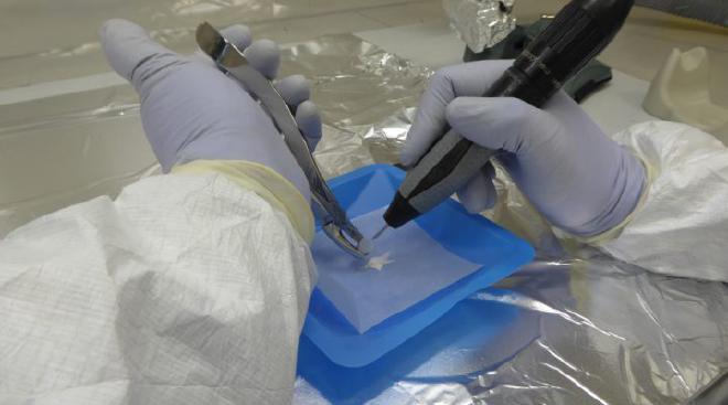 Trabajo en el laboratorio. Foto: gentileza IDACOR